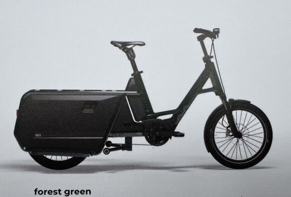 QiO Long P9 Forest Green - Glossy Finish