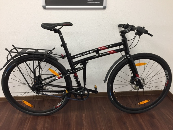 Montague Allston RH53 (über 178cm)