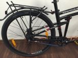 Montague Allston RH53 (über 178cm)